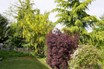 06-820_CN_T025-CN_Garten_C1_.jpg